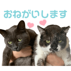 yuka_20220326220552