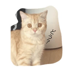 Yuina_20220326223045