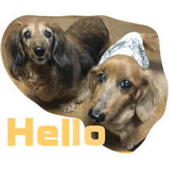 arisa_20220326224530