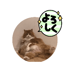 chie_20220327031453