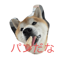 KAZUKI_20220327071920