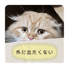 yuto_2022032708342