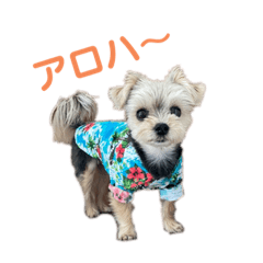 Natsumi_20220326154128