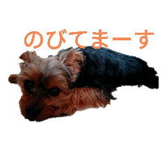 Hikari_20220326160018