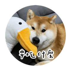 菜桃寶寶PART4