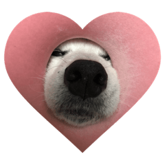 yukari_20220326185924