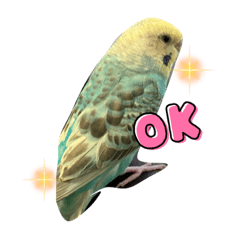 Nanami_20220327132728