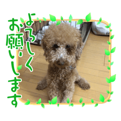 Kii_20220327133849