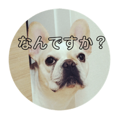 hana_20220326203304