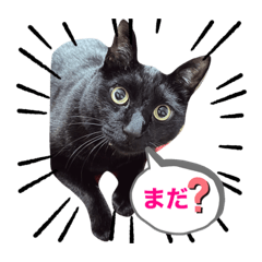 Risa_20220327131407