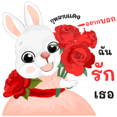 กระต่ายน่ารัก ชุดหลากสีมาส่งภาษาดอกไม้