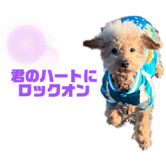kichi_20220327033026