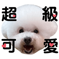 我是波弟Pody