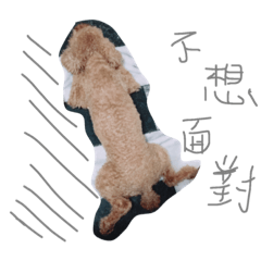 dog dog wow