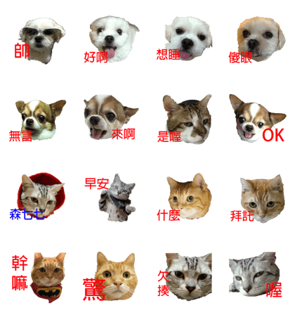 our dogs and cats.