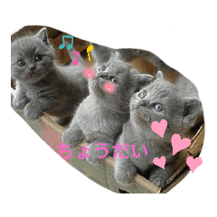 Emily_20220327200856