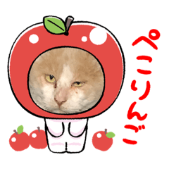Abcdefg_20220327205302