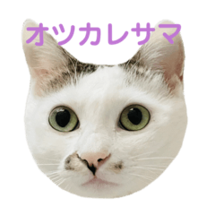 hana_20220327232249