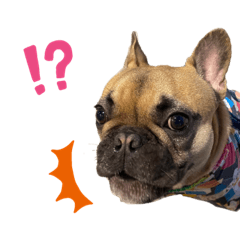 nanami_20220328003631