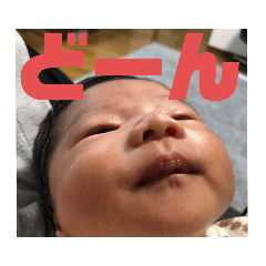 HINA2022