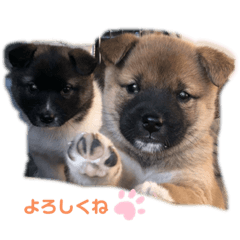 yuka_20220327170231