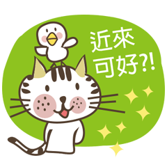 Little miao miao love play & you!!!Part3