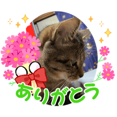 RINA_20220327173205