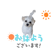 Tori_20220327201044