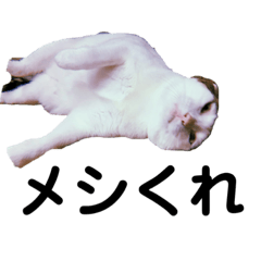 mutsugoro_20220328113705