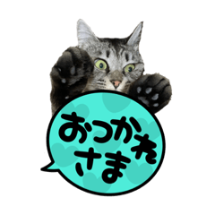 Junko_20220328114709