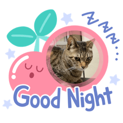 RINA_20220327192749