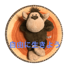 kaori_20220327214131