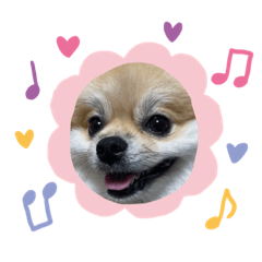 pokopoko_20220327202322
