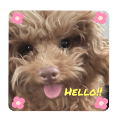 Arisa_20220327210405