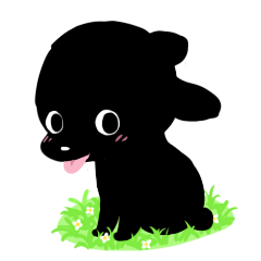 Colorful Black Poodle