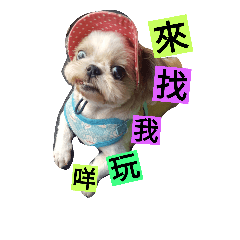 Baby Dog Love