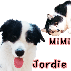 Mimi&Jordie