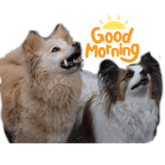 ayumi_20220328153057