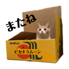 Nozomi_20220327234317