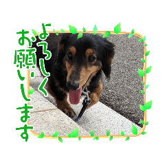 kaito_20220328164138