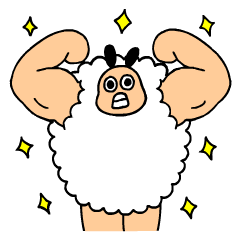 muscle sheep