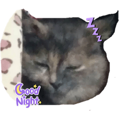 chie_20220328170944