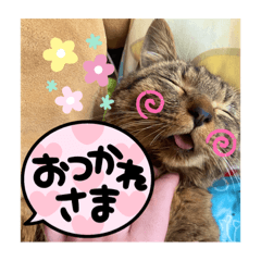 Yuka_20220328182127
