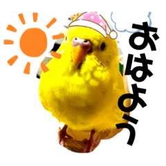 smile_20220328224945