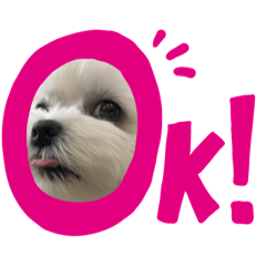 tomomi_20220329094454