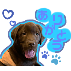 NANAMI_20220329110823