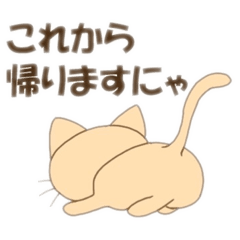 こねこのみかんちゃん2