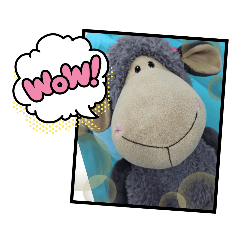 Little PoP_20220328200015