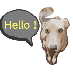 Mizuki_20220328221501