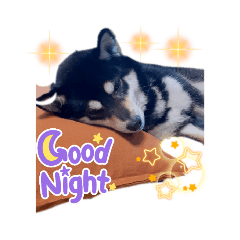 orange_20220329102745